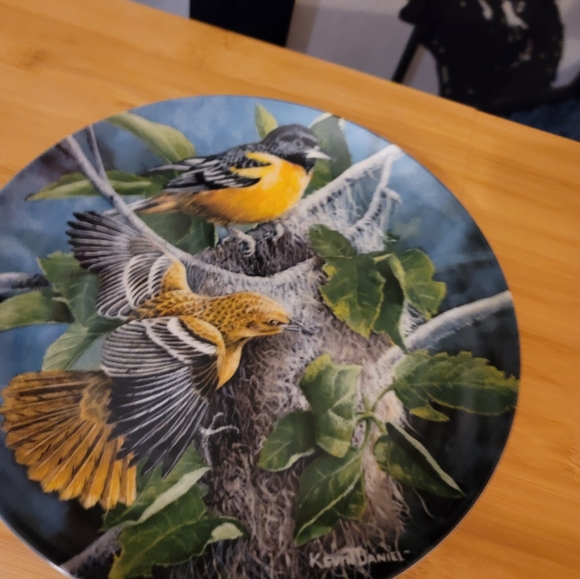 ENCYCLOPEDIA BRITANNICA "BIRDS IN YOUR GARDEN" COLLECTORS PLATE 12650C LIMITED - Picture 7 of 11